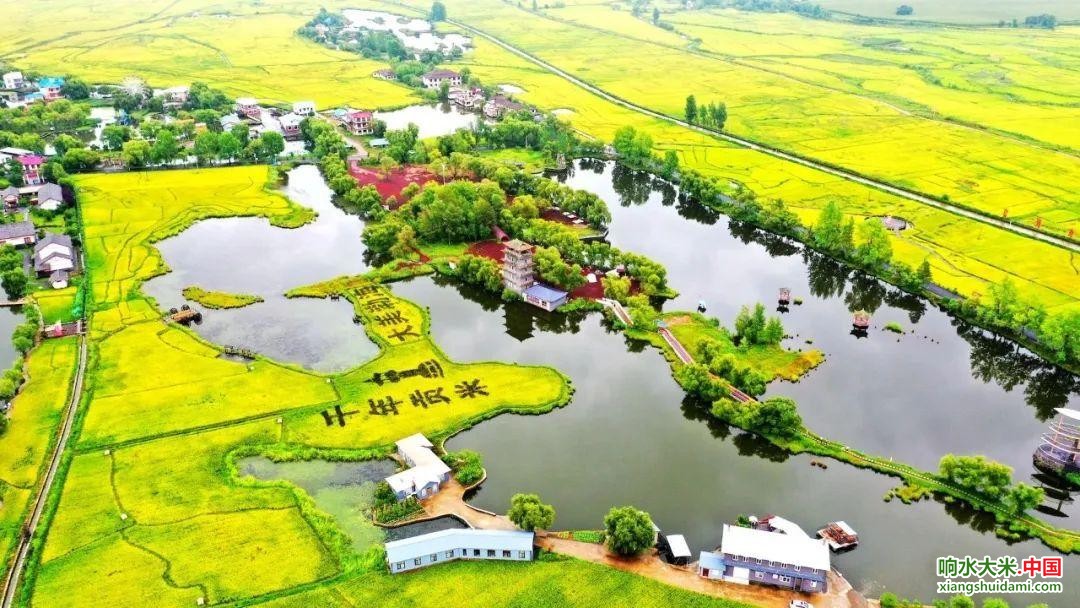 响水大米网 响水大米网