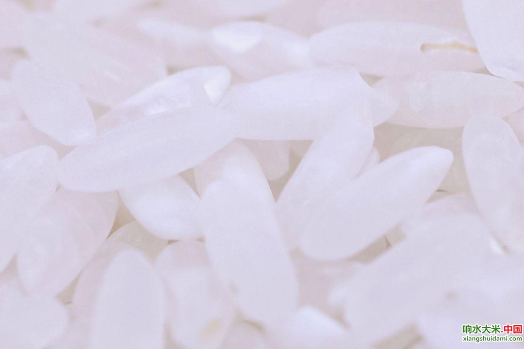 响水大米网 响水大米网