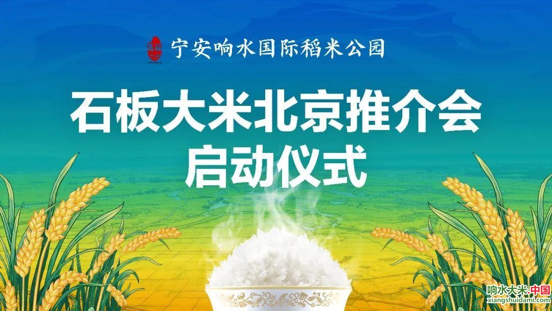 响水大米网 响水大米网