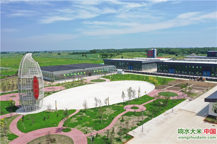 响水大米网 响水大米网