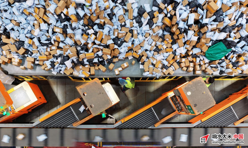 响水大米网 响水大米网