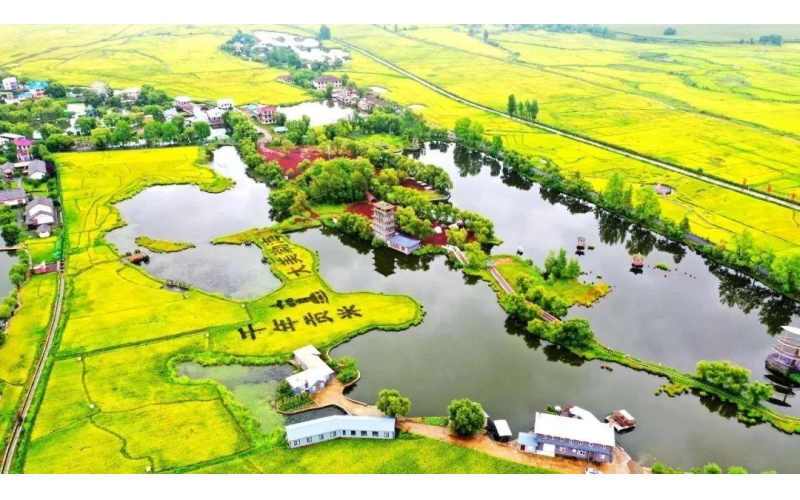 视频-熔岩石板地里种出“响当当”的响水大米