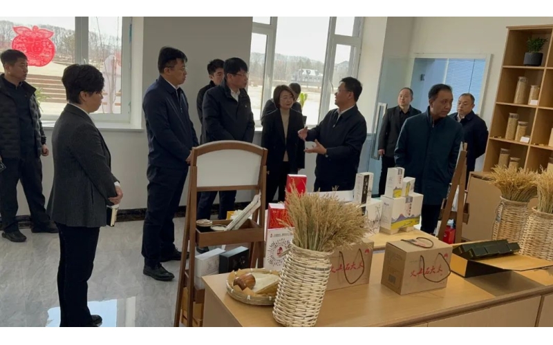 牡丹江市副市长李传柱到宁安调研响水国际稻米工作建设工作